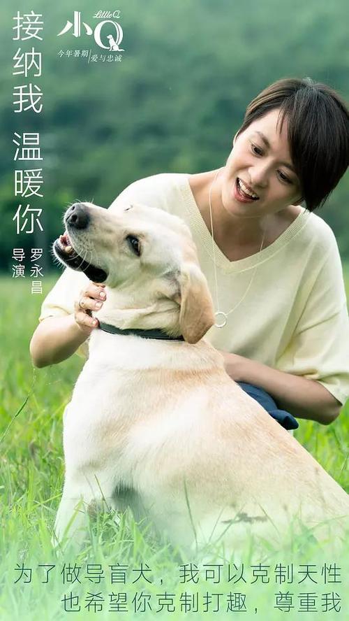広島修道大学机械制造学位证